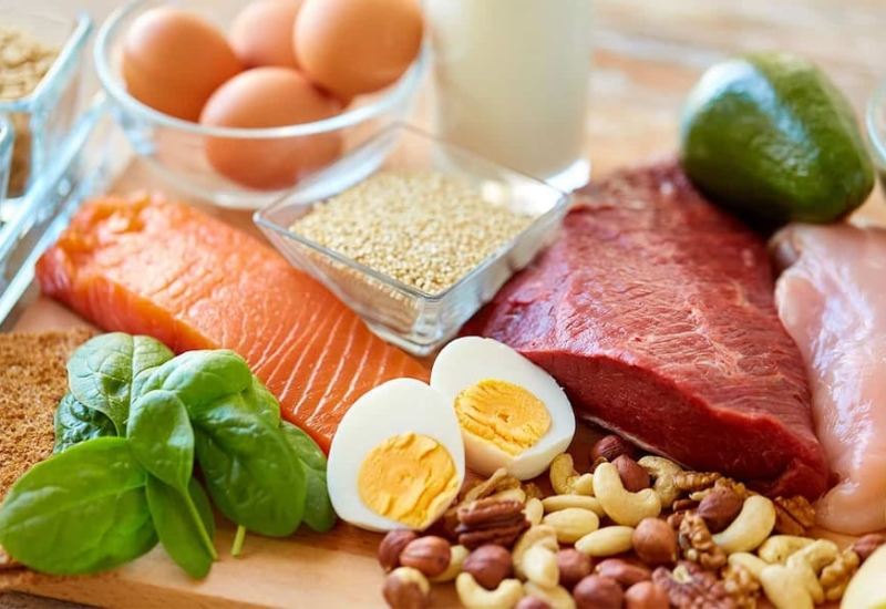 Giúp định hình cấu trúc mô tế bào